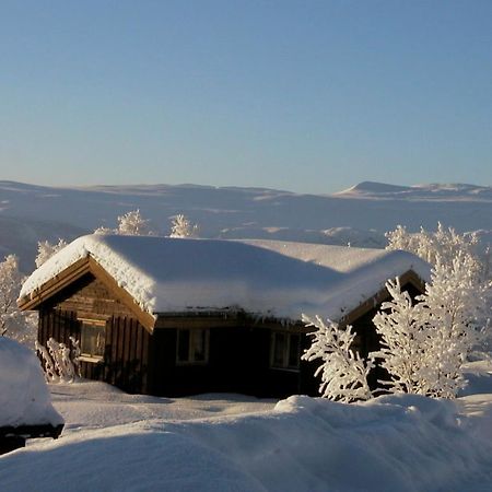 Charming Cabin With Old Timber, Fireplace & Views Apartment Beitostolen Exterior photo