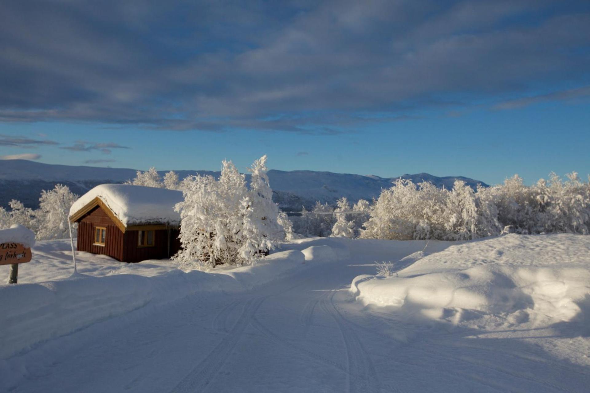 Charming Cabin With Old Timber, Fireplace & Views Apartment Beitostolen Exterior photo